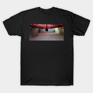 Vine covered courtyard T-Shirt